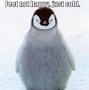Image result for Cold Memes Funny