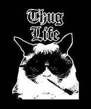 Image result for Thug Life Nike Cat