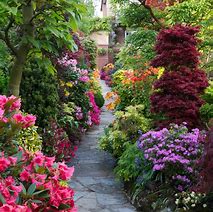 Image result for Best Flower Gardens