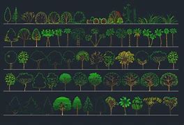 Image result for Tree Column CAD Block