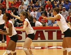 Image result for Ohio State Volleyball
