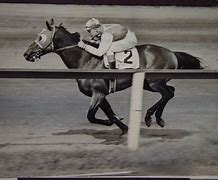 Image result for Seabiscuit