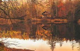 Image result for Autumn Cabin