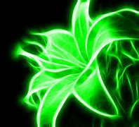 Image result for Awesome Neon Green