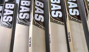 Image result for Bas Players Edition Cricket Bat