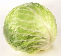 Image result for Cabbage