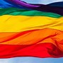 Image result for Coca-Cola LGBT Product
