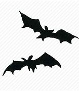 Image result for White Ghost Bats Creepy