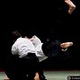 Image result for Aikido Art