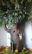 Image result for Trees with Envy