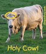 Image result for Holy Cow Meme GIF