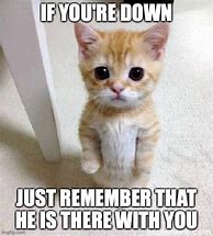 Image result for Motivational Cat Meme