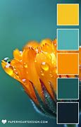 Image result for Teal Color Combinations