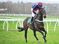 Image result for Derby Horse Racing