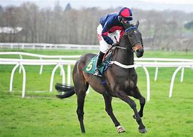 Image result for Horse Racing Pick