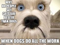 Image result for Respect Dog Meme