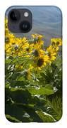 Image result for Sunflower iPhone Wallpaper