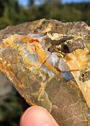 Image result for Giant Opal