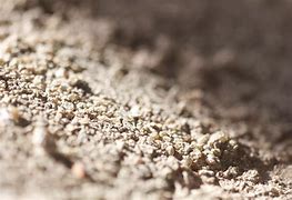 Image result for Grainy Sand Texture