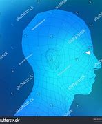 Image result for Human Head 3D Female