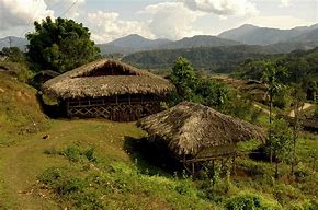 Image result for tribal_house