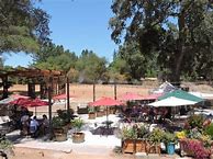 Image result for C G di Arie Barbera Amador County