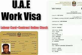 Image result for Work Visa Cost