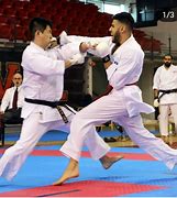 Image result for Karate Combat Fight