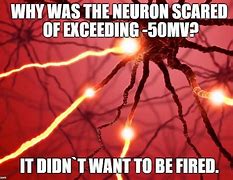 Image result for Brain Nerve Exploding Meme