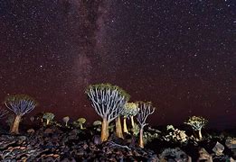 Image result for Milky Way Over Africa