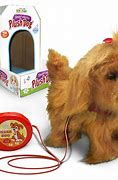 Image result for Dog Toy Controled by Phone