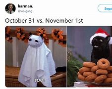 Image result for November 1st Cat Meme