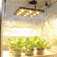 Image result for LED Seedling Grow Light Panel