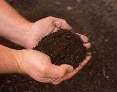 Image result for Compost/Soil
