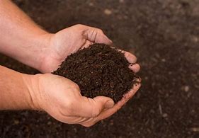 Image result for Organic Compost