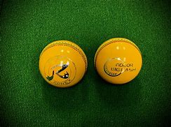 Image result for Indoor Cricket