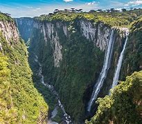 Image result for South America Nature