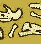 Image result for Cartoon Bone Texture