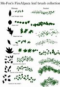 Image result for Leaves Brush Photoshop