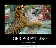 Image result for Tiger Man Memes
