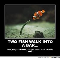 Image result for Funny Fish Fry Memes