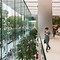 Image result for Apple Store Table