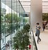 Image result for New York City Apple Store Drawing