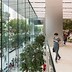 Image result for Apple Store