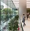 Image result for Town Apple Store