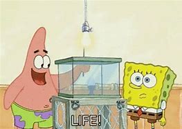 Image result for Spongebob Light Meme