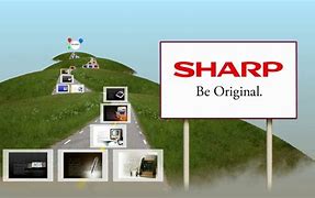 Image result for Sharp Hawaii