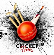 Image result for Wicket Man Cricket