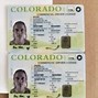 Image result for Colorado Drivers License/Permit Template
