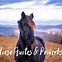 Image result for Quotes About Horses